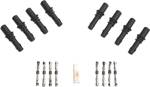 Ford 4_6L-5_4L Coil Near Plug Supplement   