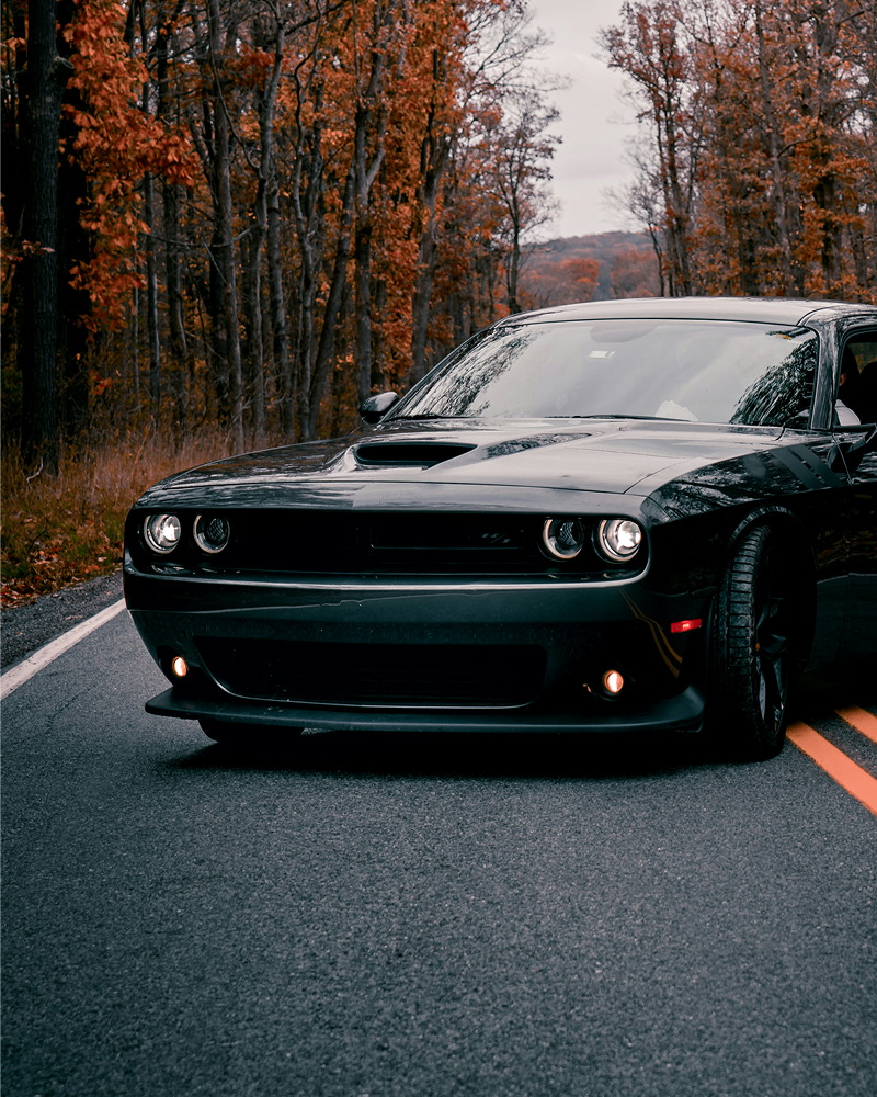 Dodge