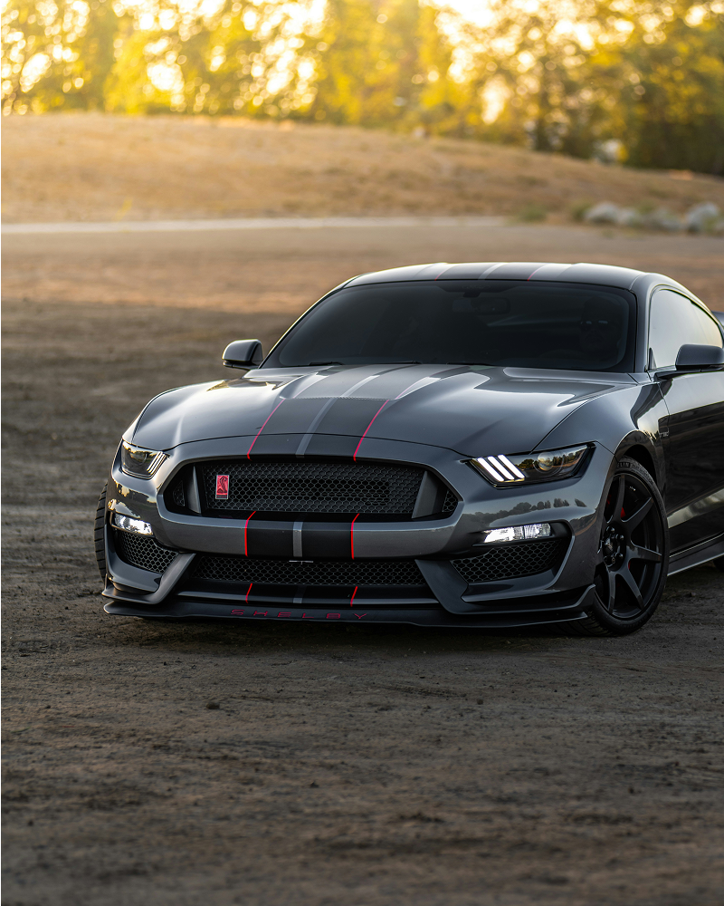 Ford